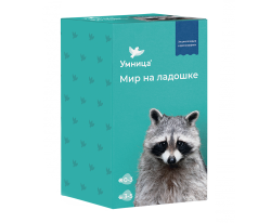 Умница. Мир на ладошке. Енот