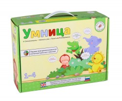 "Умница" Программа развития интеллектуальных навыков